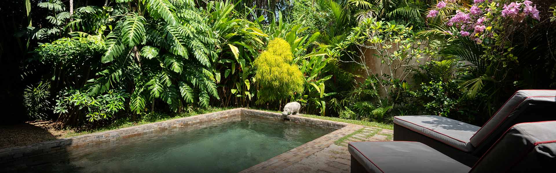 Luxury honeymoon suites with private pools at Teardrop Hotels, featuring cozy outdoor seating and beautiful views of lush greenery