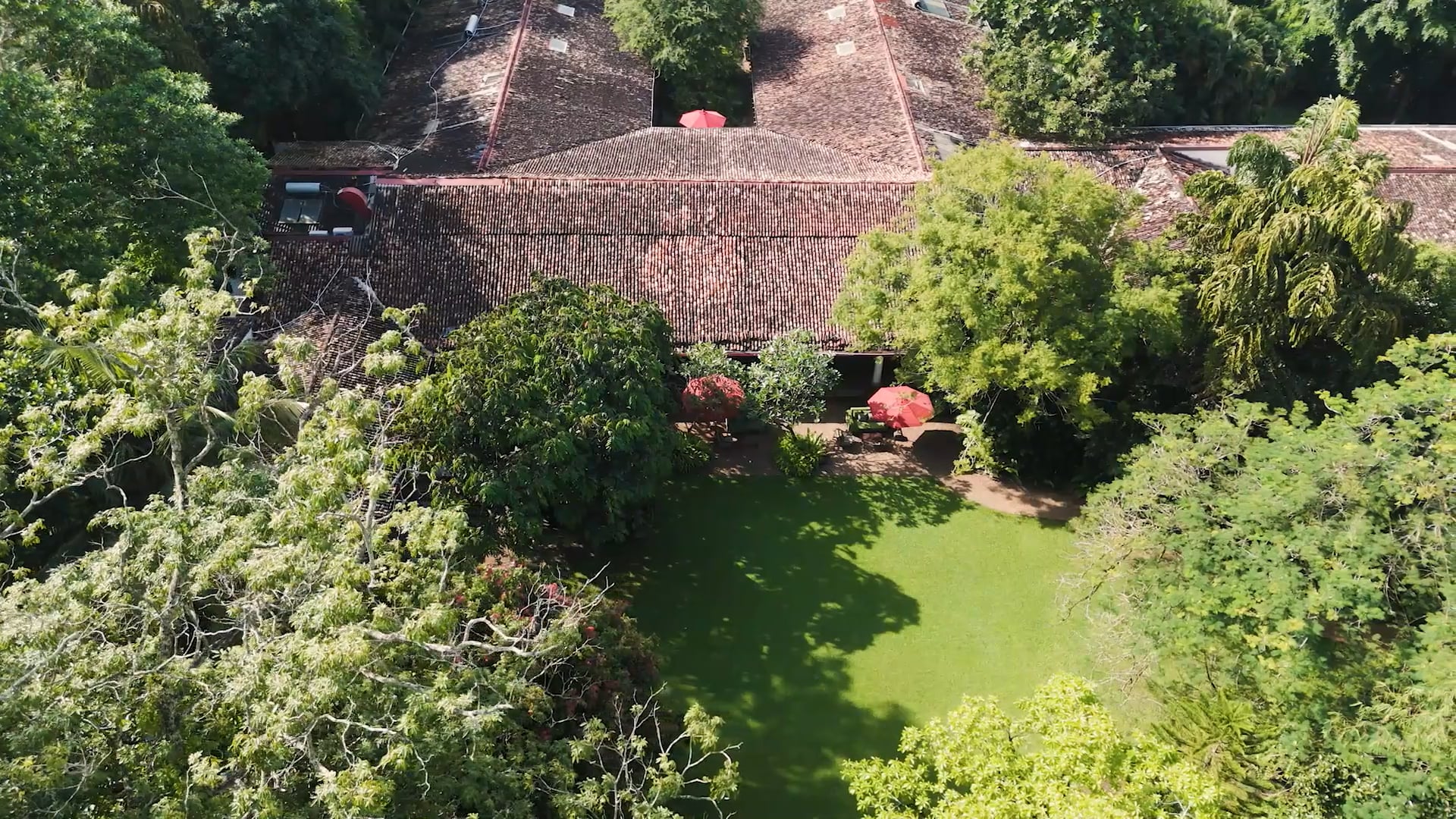 The Wallawwa, a boutique hotel in Negombo, featuring a peaceful green garden with a peaceful area and surrounded by lush greenery.